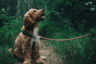 Gut betreut während des Klinikaufenthalts